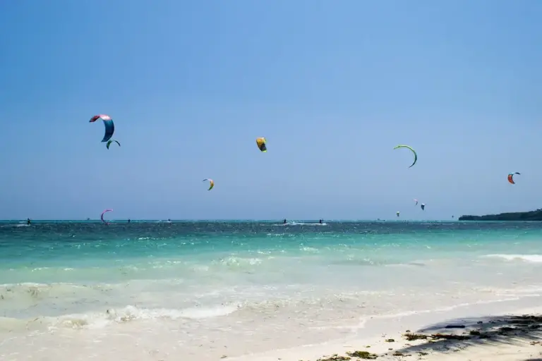 25981252971_ab3c1e13ec_b-1