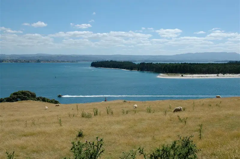 Tauranga / Matakana Island (Bay of Plenty)