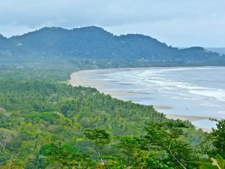 nicoya (1)