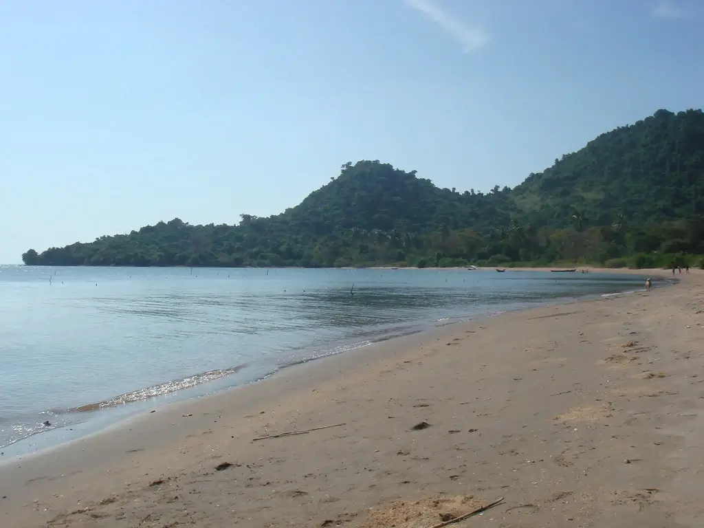 rabbit island